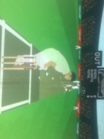 Cricket